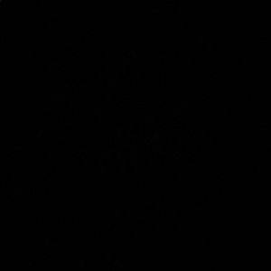 Meet your Posher, Joel